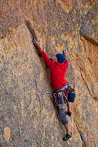 Man climbing the Screaming Yellow Zonkers route in Smith Rocks State Park, Oregon, May 2013. Model released.