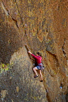 Woman climbing the Screaming Yellow Zonkers route in Smith Rocks State Park, Oregon. May 2013. Model released.