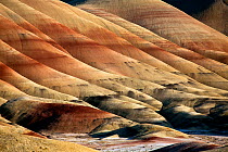 John Day Fossil Beds National Monument, Painted Hills Unit, Oregon, USA, May 2013.