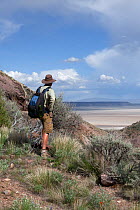 Man hiking on the Pike Creek Trail in the Steens Mountains Wilderness, Oregon, USA, May 2013. Model released.