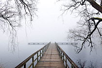 Jetty in fog, at Green Lake City Park in Seattle, Washington, USA. March 2013.