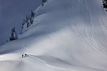 Back country skiers at the base of Table Mountain in the Mount Baker Wilderness, Washington, USA. March 2013.