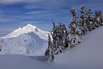 Winter view of  Mount Baker from Artist Point in Heather Meadows Recreation Area, Washington, USA. March 2013.