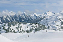 Back country skiers in the Heather Meadows Recreation Area near Artist Point, Washington, USA. March 2013.
