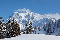 Mount Shuksan viewed from Heather Meadows Recreation Area, Washington, USA. March 2013.