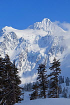 Winter view of Mount Shuksan from Heather Meadows Recreation Area, Washington, USA. March 2013.