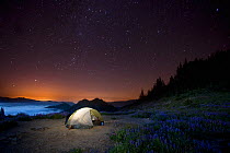 Camp site at night above Appleton Pass in Olympic National Park, Washington, USA, August 2013.