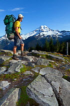Hiker on Cougar Divide in the Mount Baker Wilderness with Mount Baker in the distance, Baker-Snoqualmie National Forest. Washington, USA, August 2013. Model released.