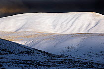 Hills in the Lamar Valley, in snow, Yellowstone National Park, Wyoming, USA, February 2013.