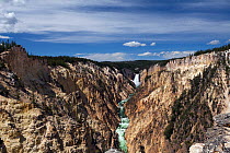 Lower Yellowstone Falls on the Yellowstone River viewed from Artist Point in Yellowstone National Park, Wyoming, USA, June 2013.