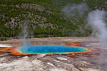 Grand Prismatic Spring in the Midway Geyser Basin of Yellowstone National Park, Wyoming, USA, June 2013.