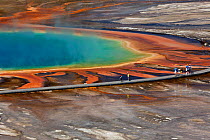 Grand Prisnatic Spring with tourists walking along surrounding path, Midway Geyser Basin of Yellowstone National Park, Wyoming, USA, June 2013.