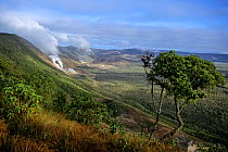 Alcedo Volcano caldera with fumeroles or vents. Isabela Isaland, Galapagos, Ecuador.