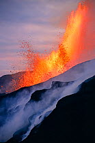 Fissure eruption of Chico Volcano into 9km diameter caldera. Sierra Negra volcano, Isabela Island, Galapagos, Ecuador. October 2005.
