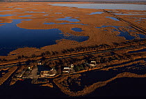 Aerial shot of houses in marsh land, Gallician marshes, Camargue, France.