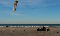 Man in kite buggy on beach, St Louis du Rhone, Camargue, France, October 2012.