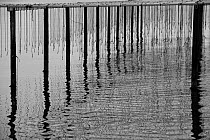 Reflections in water at mussel farm in the bay of Fos-sur-Mer, Camargue, France, September.