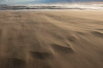 Wind blowing sand across beach, causing delta patterns, Piemanson, Camargue, France, October.