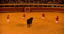 Group of bullfighters in European Bullfighting Championship 2012, Arenes d'Arles, Camargue, France, September 2012.