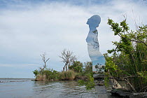 Giant mirror in the shape of a woman emerging from river, a public sculpture by Rob Mullholland, Port Saint Louis du Rhone, Camargue, France, May 2013. Editorial Use only. Credit Jean Roche / Le Citro...