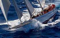 &#39;Adela&#39; yacht running downwind, during the St. Barth&#39;s Bucket 2013, Leeward Islands, West Indies, Caribbean, February 2013. All non-editorial uses must be cleared individually.