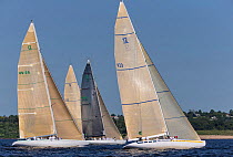 &#39;Courageous&#39;, &#39;Victory 83&#39; and &#39;Intrepid&#39; at the start of the New York Yacht Club Annual Regatta, New York, USA, June 2013. All non-editorial uses must be cleared individually.