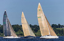 &#39;Intrepid&#39;, &#39;Victory 83&#39;, and &#39;Courageous&#39;, the classic 12 metre yachts, racing against each other during the New York Yacht Club Annual Regatta, New York, USA, June 2013. All...