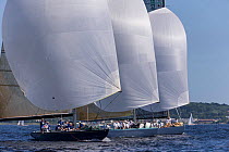 &#39;Victory 83&#39;, &#39;Courageous&#39; and &#39;Intrepid&#39; racing downwind with spinnakers up, New York Yacht Club Annual Regatta, New York, USA, June 2013. All non-editorial uses must be clear...