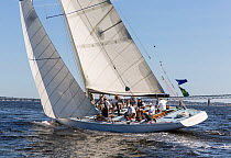 &#39;Nefertiti&#39; sailing near the Newport Bridge, New York Yacht Club Annual Regatta, New York, USA, 2013. All non-editorial uses must be cleared individually.