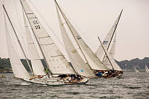 Classic Yachts &#39;Fortune&#39; and &#39;Black Watch&#39; racing during the Classic Yacht Regatta, Newport, Rhode Island, USA, August 2013. All non-editorial uses must be cleared individually.