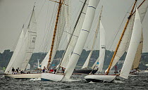 Several classics at the start of the Classic Yacht Regatta, Newport, Rhode Island, USA, August 2013. All non-editorial uses must be cleared individually.
