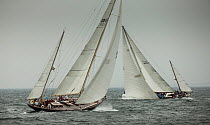 &#39;Bolero&#39; and &#39;Black Watch&#39; crossing tacks during the Classic Yacht Regatta, Newport, Rhode Island, USA, August 2013. All non-editorial uses must be cleared individually.