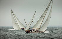 &#39;Bolero&#39; and &#39;Black Watch&#39; crossing tacks during the Classic Yacht Regatta, Newport, Rhode Island, USA, August 2013. All non-editorial uses must be cleared individually.