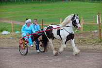 Pony pulling couple on a trotting cart, Appleby, Yorkshire