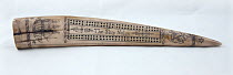 Walrus tusk scrimshaw inscribed with 'The Ship Nolan 1832-1836' and etched with cribbage board