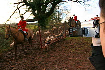 Hunt Saboteur filming the South Herefordshire Hunt,  Herefordshire, UK