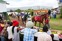 Punters inspecting horses' form in the paddock area before a race at Caymanas Park Racing Track, Kingston, Jamaica.
