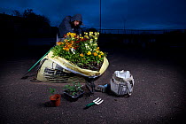 EMBARGOED - Guerrilla Gardener planting a flowerbed in a one ton sandbag at night (model released)