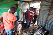 Fishermen weighing and trading Nile Perch (Lates niloticus) for export, Remba Island, Lake Victoria, Kenya.