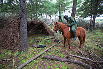 Wildlife poaching patrol unit on horseback investigate a poacher's den Mount Kenya National Park, Kenya