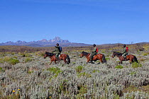 Wildlife poaching patrol unit on horseback with Mount Kenya in background, Mount Kenya National Park, Kenya
