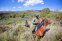 Wildlife poaching patrol unit on horseback, Mount Kenya National Park, Kenya