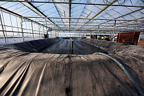 Spirulina (Arthrospira) cultivation in heated greenhouses, using waste hot water from a biogas production process, Spain, January, 2013.