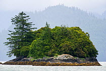 Island on the Johnstone strait coastline, East coast, Vancouver Island, British Columbia, Canada, July 2012.