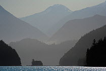 Mountains silhouetted in fog, Knight Inlet, East Coast, Vancouver Island, British Columbia, Canada, July.