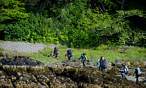 Hikers on the start of the West Coast Trail at the mouth of the Gordon River, near Port Renfrew. Vancouver Island, British Columbia, Canada, July.