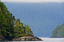 Johnstone Strait landscape, Telegraph Cove, East coast, Vancouver Island, British Columbia, Canada, July.