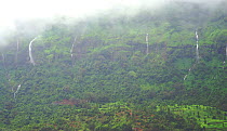 Seasonal waterfalls during the monsoon. Koyna, Western Ghats, India, August 2010.