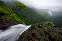 View from the top of the Ozarde waterfalls near Koyna Lake during the monsoon. Western Ghats, India, August 2010.