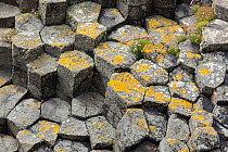 Hexagonal basaltic rock formations, Staffa, Inner Hebrides, Scotland, June.